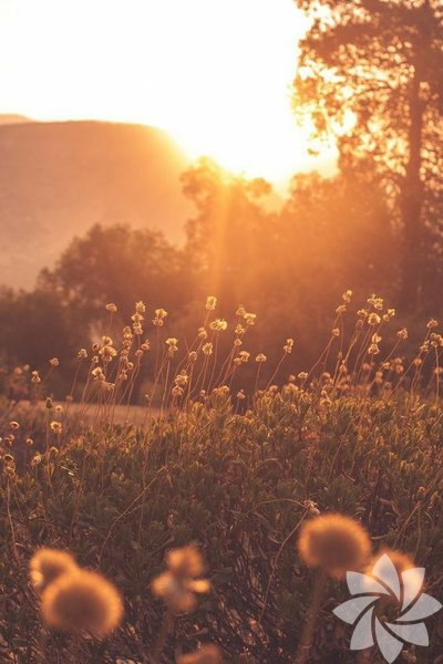 Uğur getireceğine inanılan 3 yeni gün hareketi